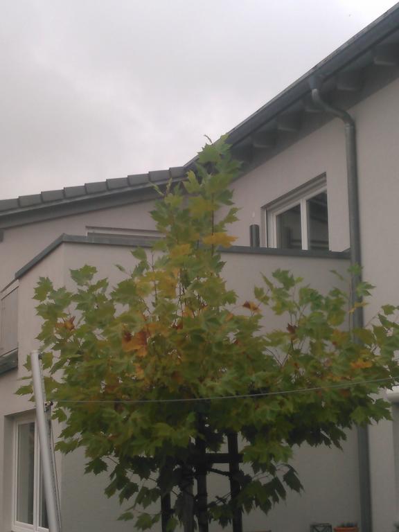 Ferienwohnung Zum Kletterturm カウフボイレン エクステリア 写真